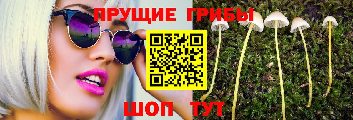 Галлюциногенные грибы Cubensis Саранск