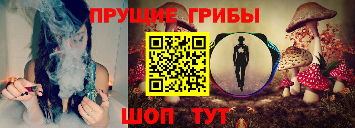 Саранск  закладки  Вход с VPN  Галлюциногенные грибы мухоморы  Псилоцибиновые грибы мицелий 